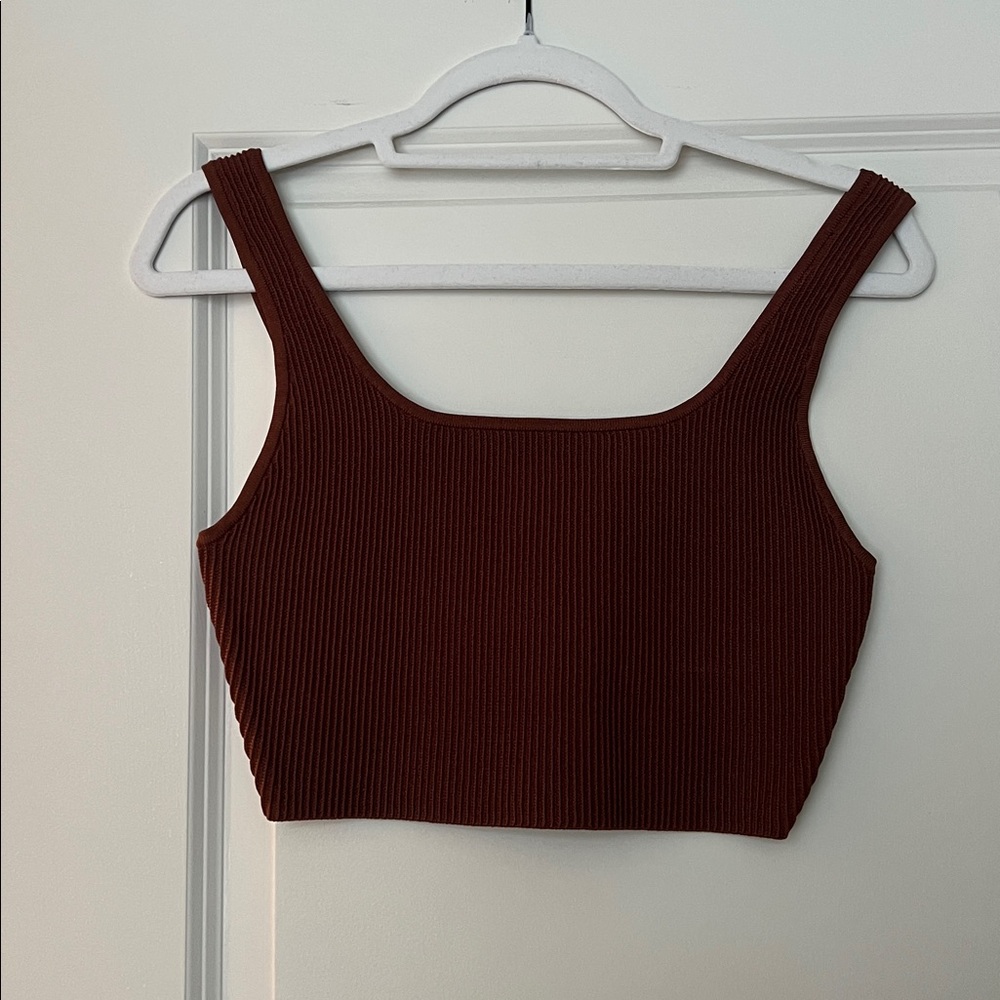 Aritzia Babaton Ribbed Tank Top in Brown